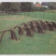 Kudde, wilgenhout, H 90 cm, 1999