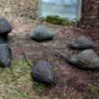 Gestolen De verwekkers, brons, 250*200*50 cm, 1988 -